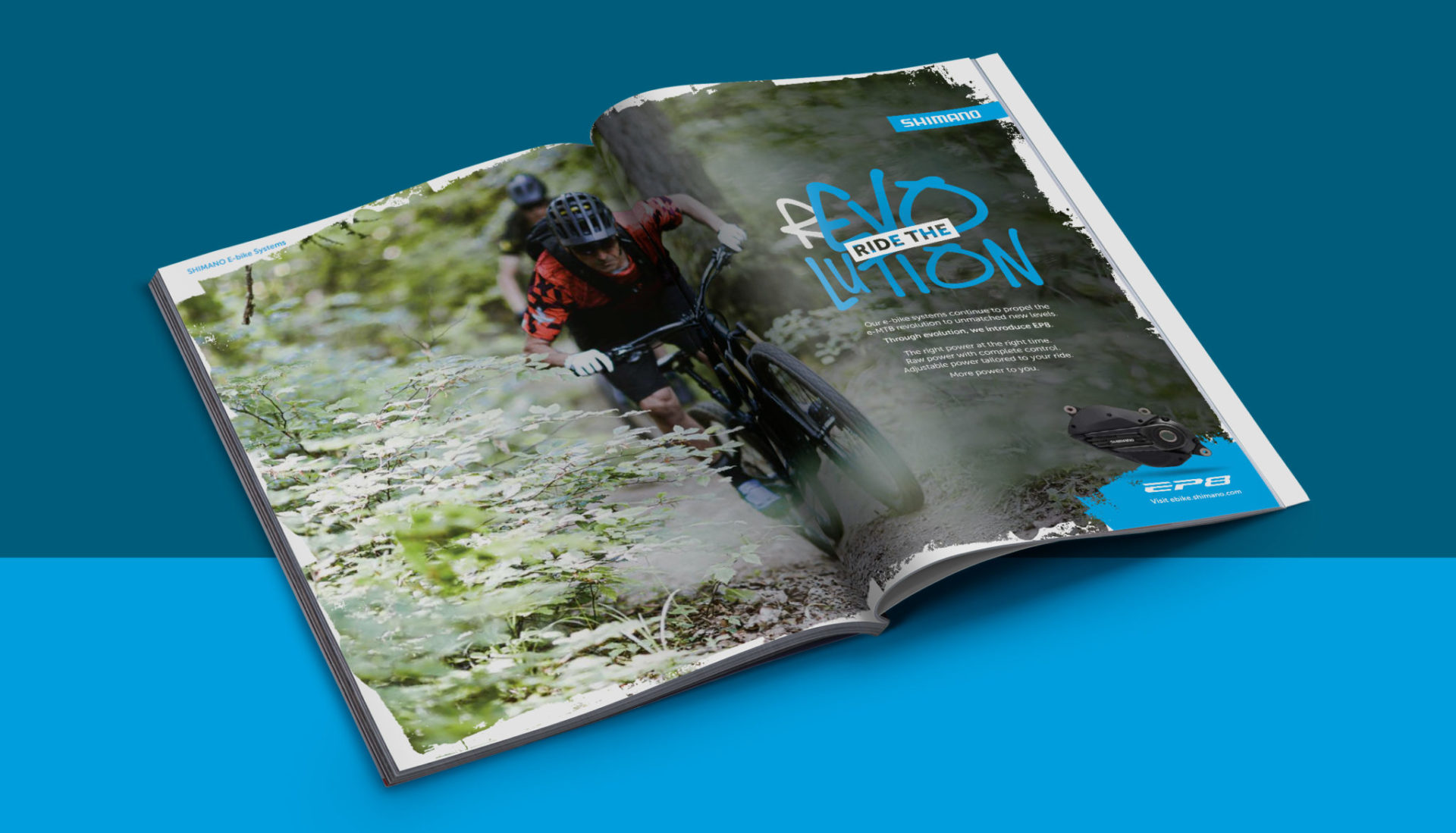 Shimano_Case_Study_DPS_Mock_Up_1