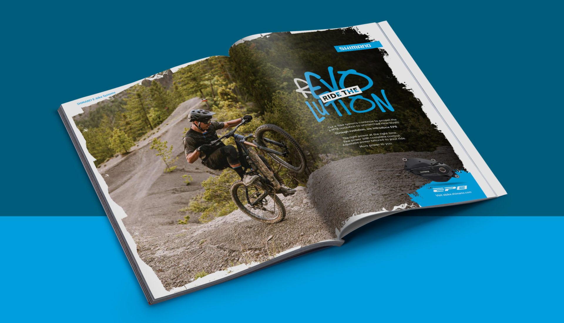 Shimano_Case_Study_DPS_Mock_Up_2