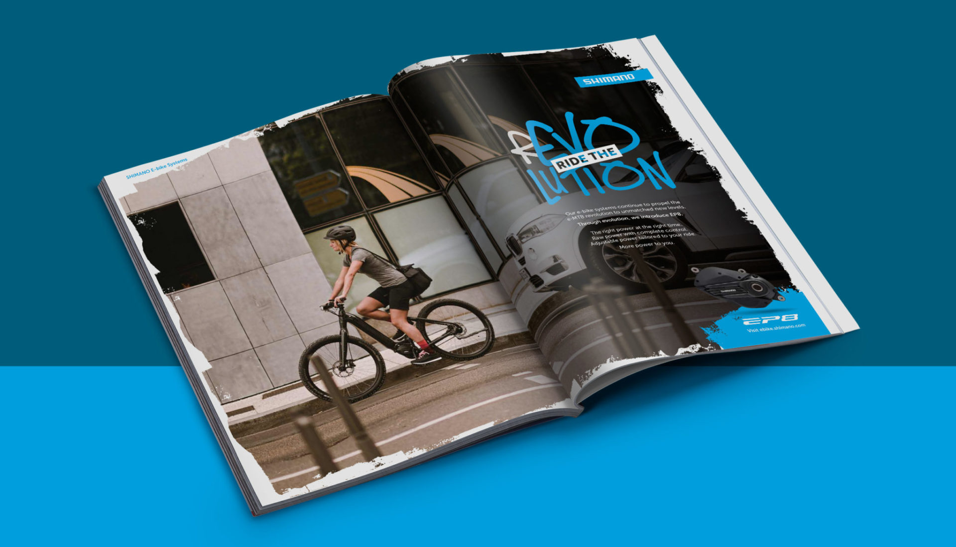 Shimano_Case_Study_DPS_Mock_Up_4