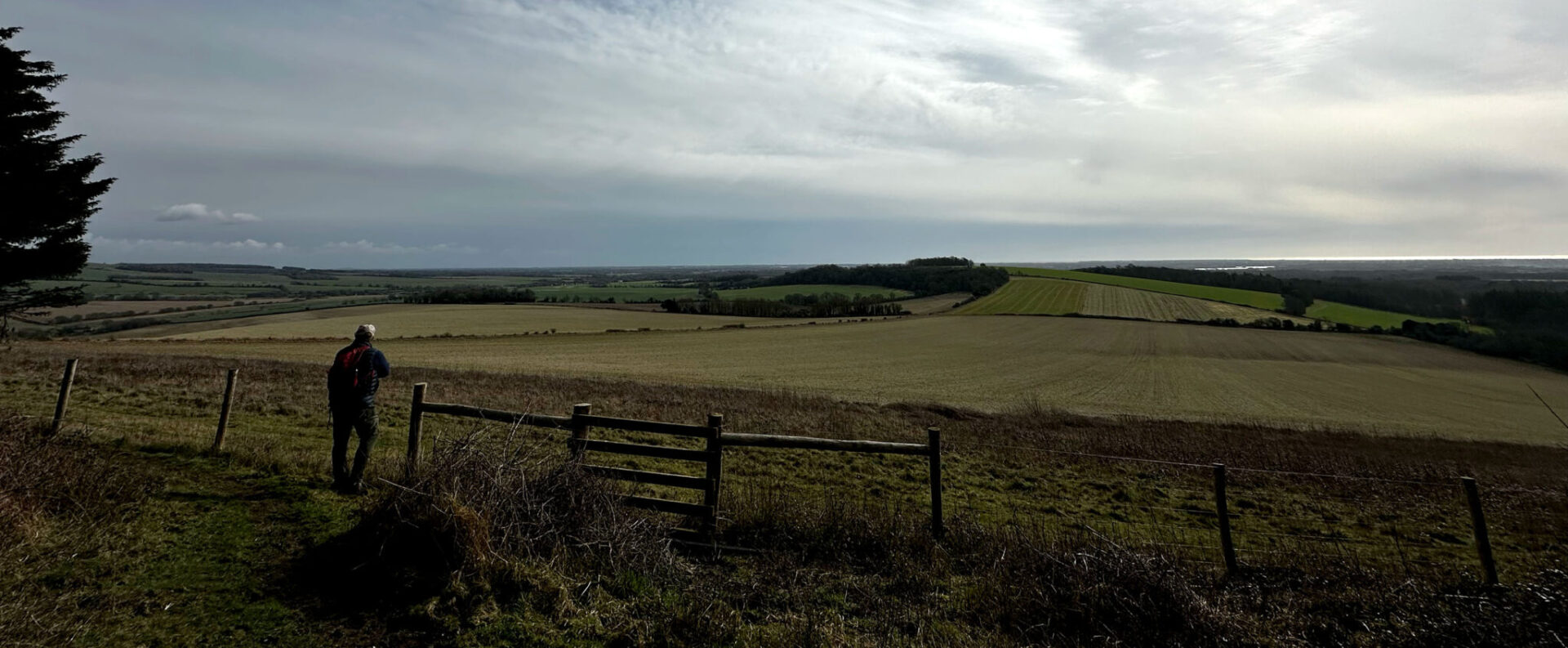 Bringing back the Brandwave BrandTest!