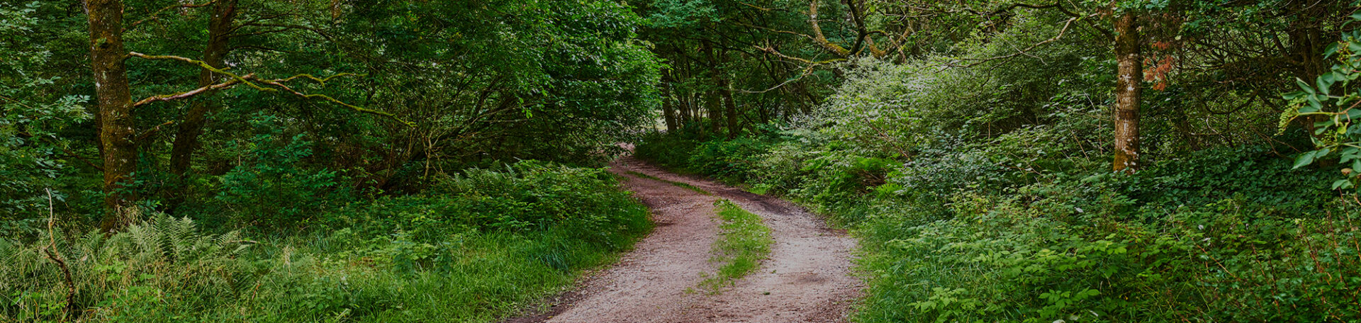 Brandwave BrandTest: Beeline App and Velo 2 Unit – My First Impressions…
