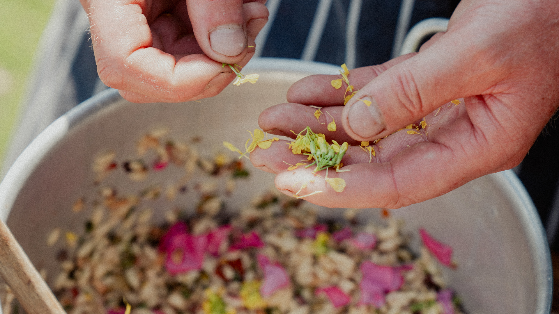 Images 1920x1080_0005_CAL07716