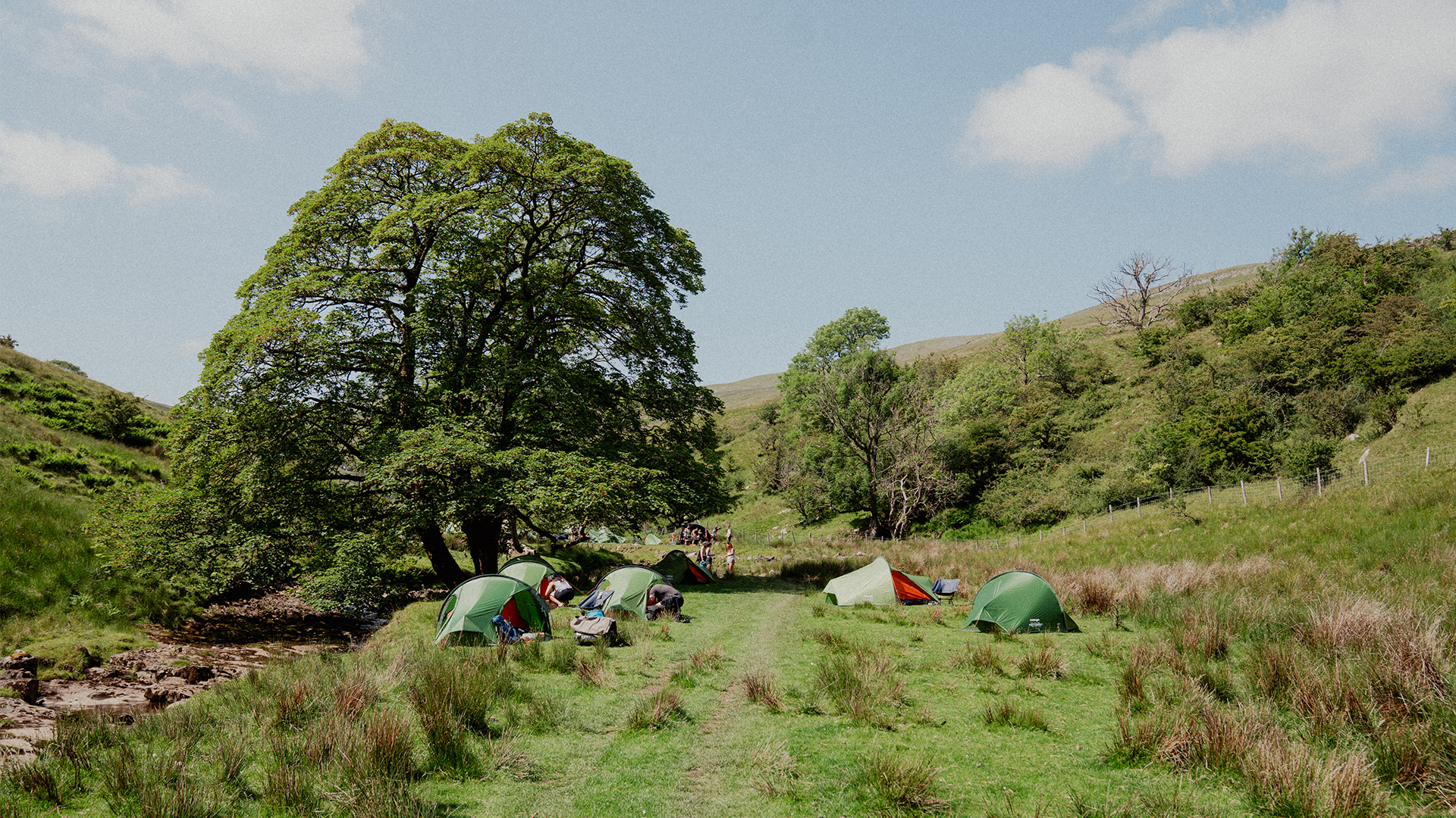 Images 1920x1080_0012_CAL07595