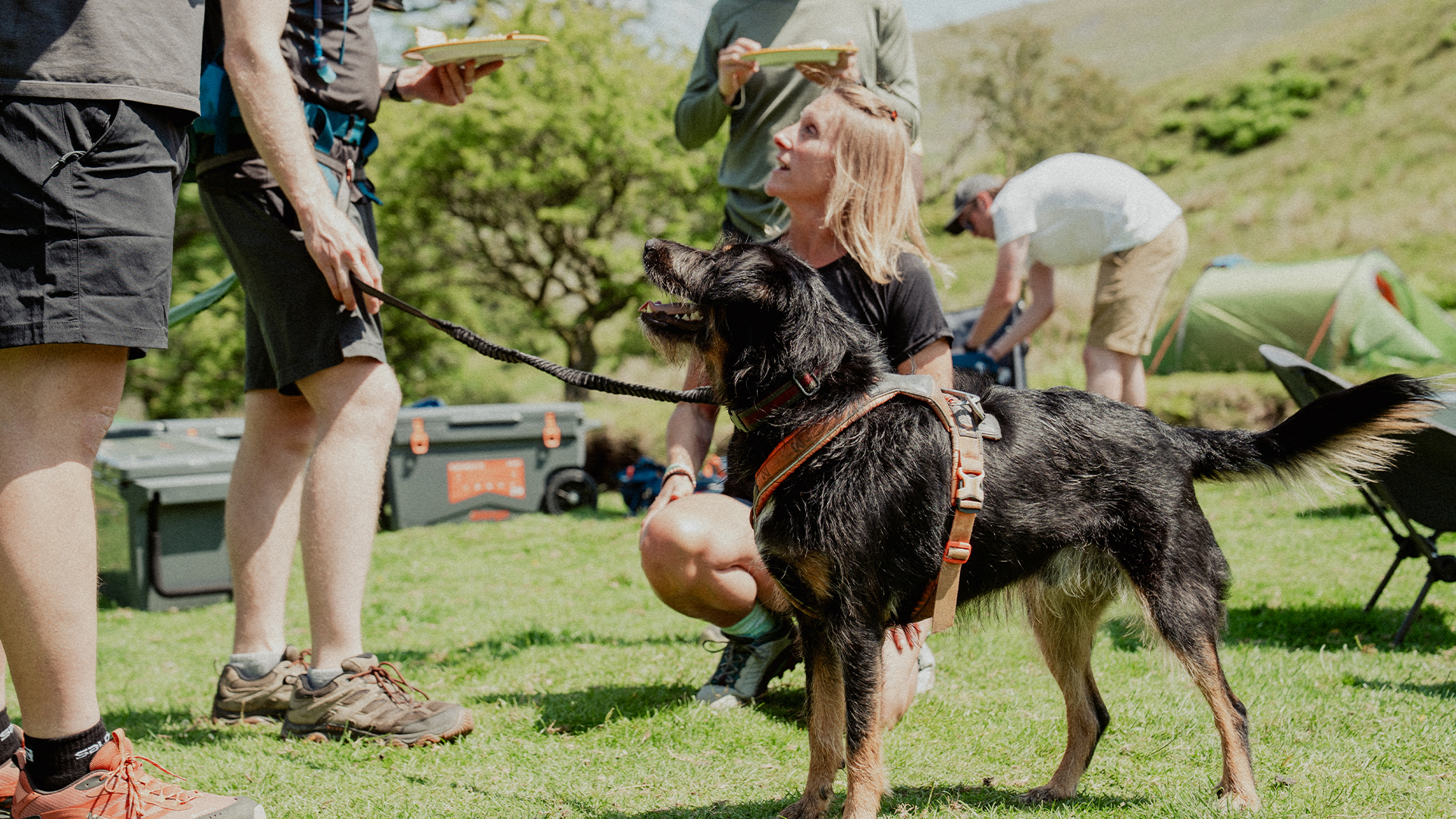 Images 1920x1080_0014_CAL07754