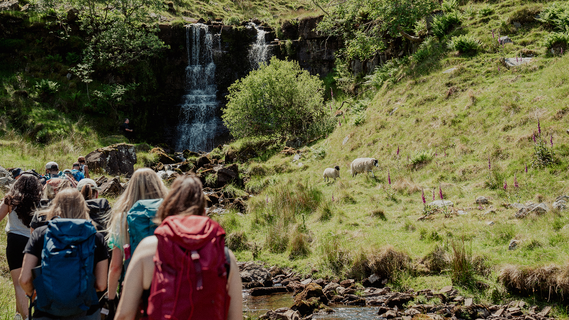 Images 1920x1080_0016_CAL07882