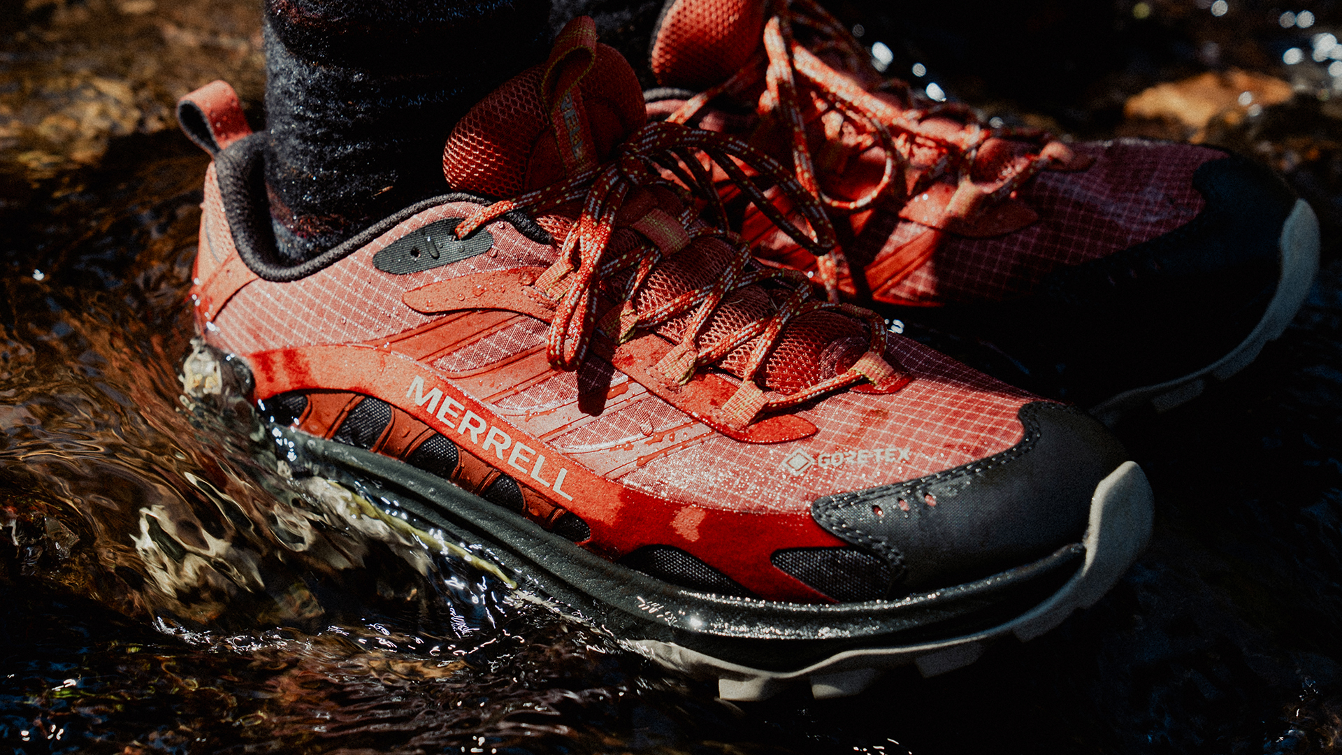 Images 1920x1080_0018_CAL07981