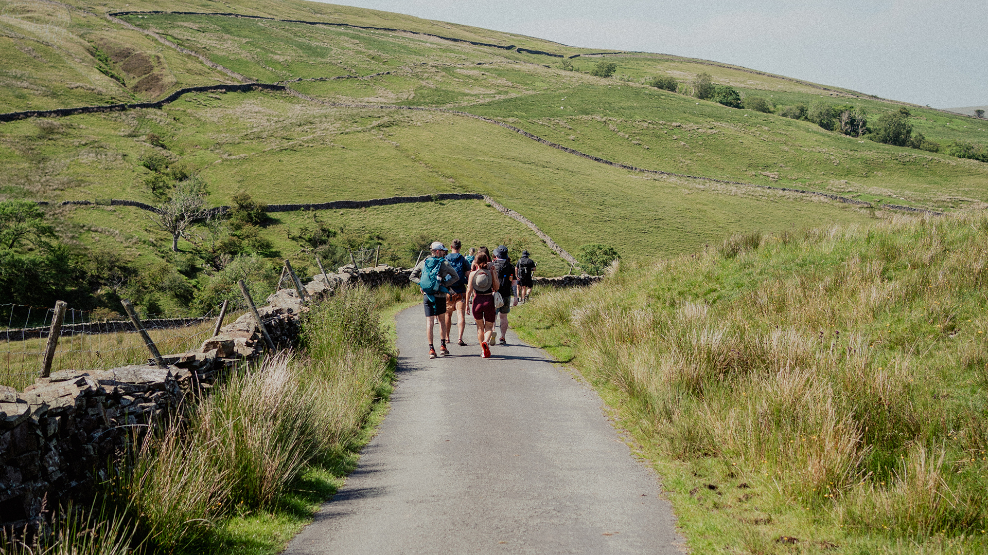 Images 1920x1080_0026_CAL08280