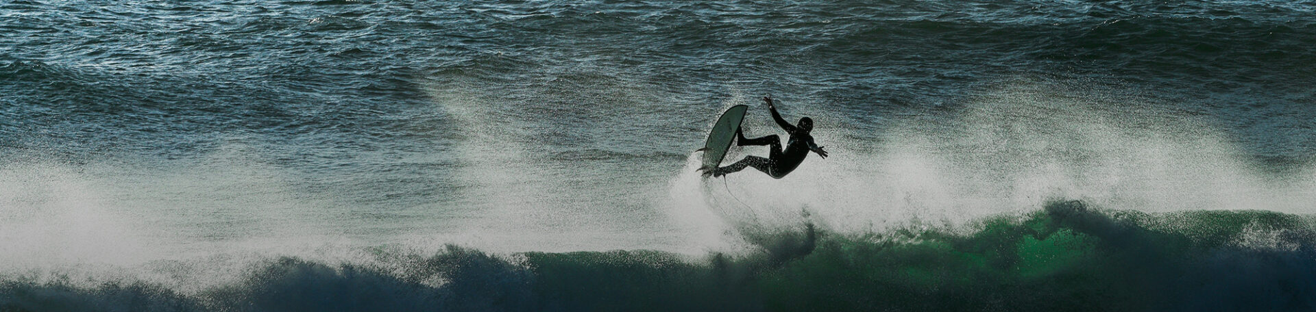 Brandwave x Surf Skate Expo