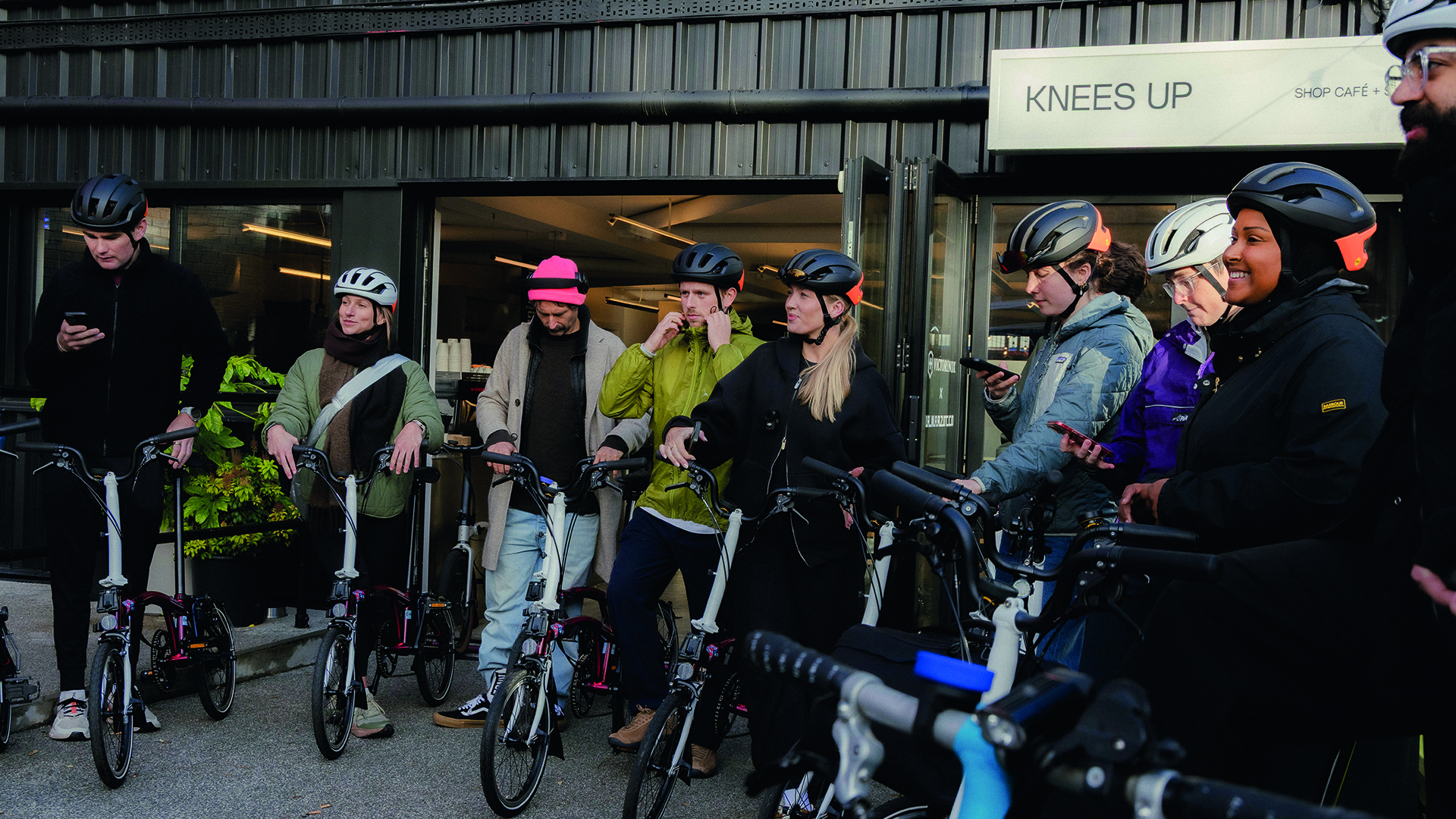 Beeline Cara Image 7