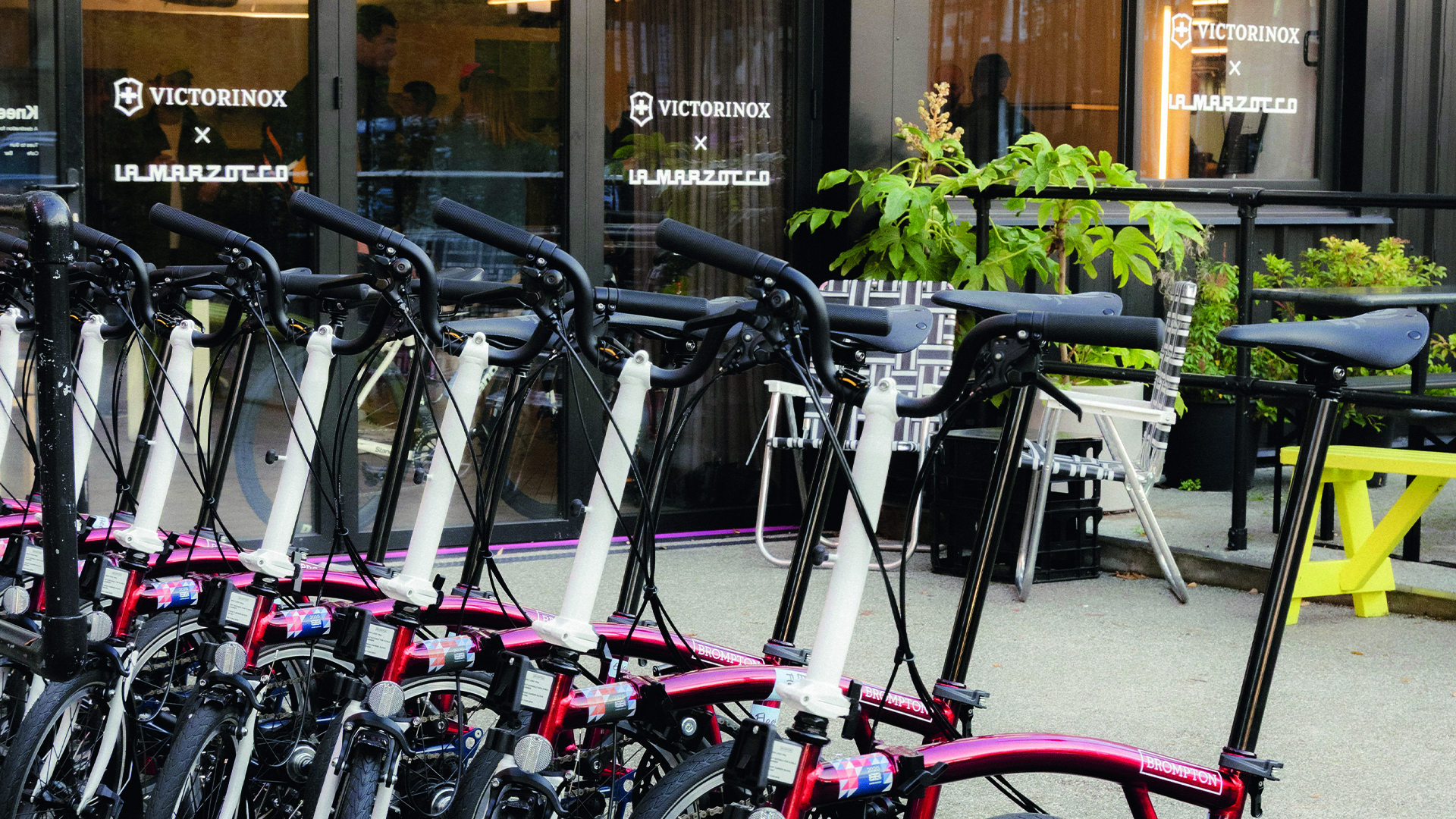 Beeline Cara Image 3