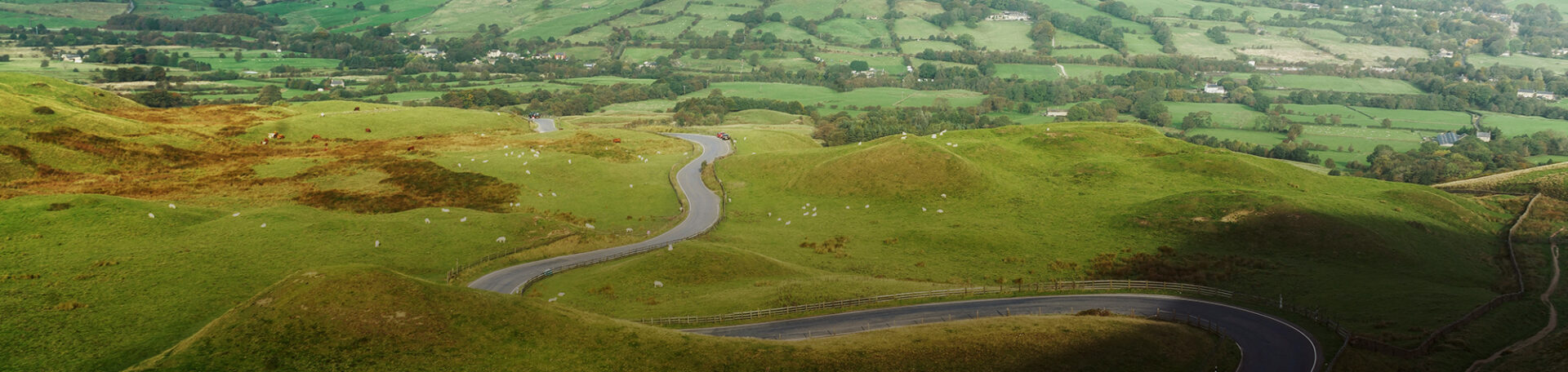 “All In For The Ride” Adidas campaign leading up to the 2012 London Olympics